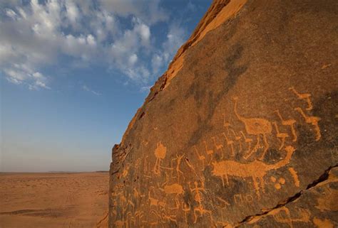 Ostrich - Arabian Rock Art Heritage