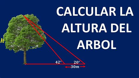 Como Calcular La Altura De Un Rbol Problema De Trigonometria Youtube