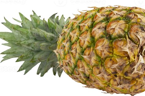 Yellow Juicy Ripe Pineapple Isolated Cut Out 10986176 Png