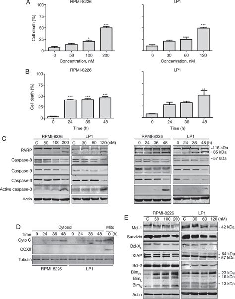 Anthelmintic Pyrvinium Pamoate Blocks Wnt Catenin And Induces