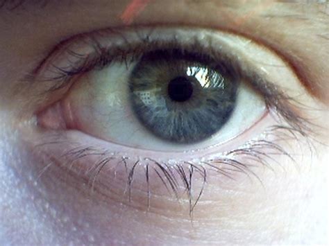 Dark Green Grey Eyes