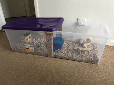 Hamster bin cage . 54lt box. 59 x 39 x 30 inches | Coisas de hamster ...