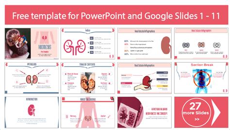 Human Kidney Template Powerpoint Templates And Google Slides