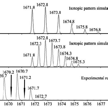 Figure S Comparison Between Experimental Result And Simulated