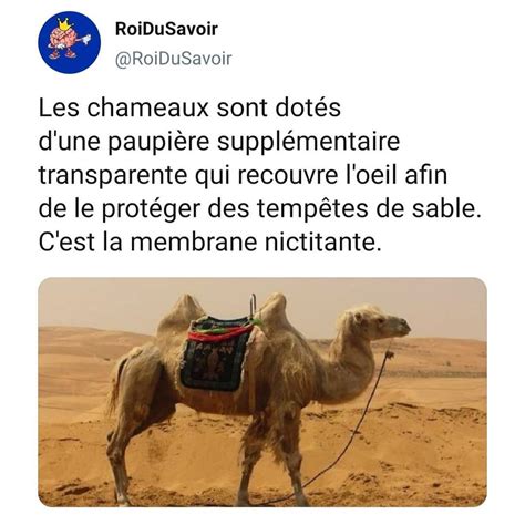 1 987 Mentions Jaime 8 Commentaires Roi Du Savoir Roidusavoir