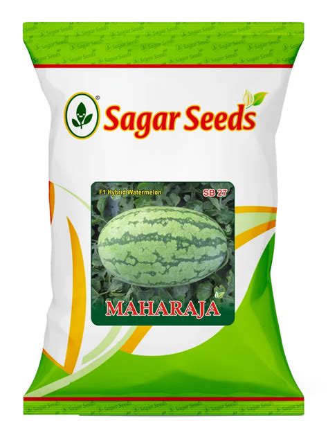 Maharaja F 1 Hybrid Watermelon Seeds For Agriculture Pack Size 50 Gm