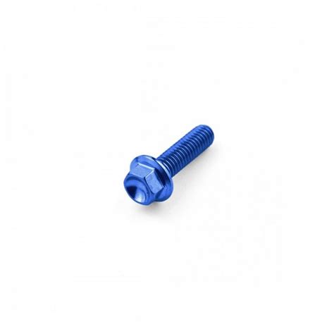 Titanium Hex Head Bolt M6 X 10mm X 22mm Blue