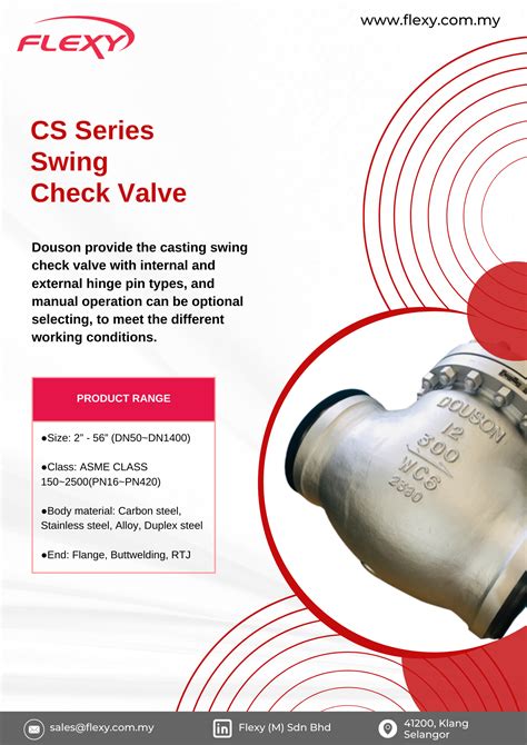 Swing Check Valves Cs Series Douson High Quality Valves