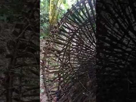 FishTrap - YouTube