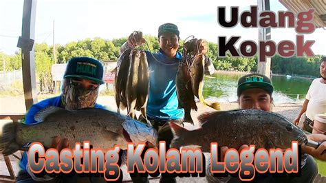 Mancing Kolam Legend Fishing Centre Tergasak Hanya Makan Udang Kopek