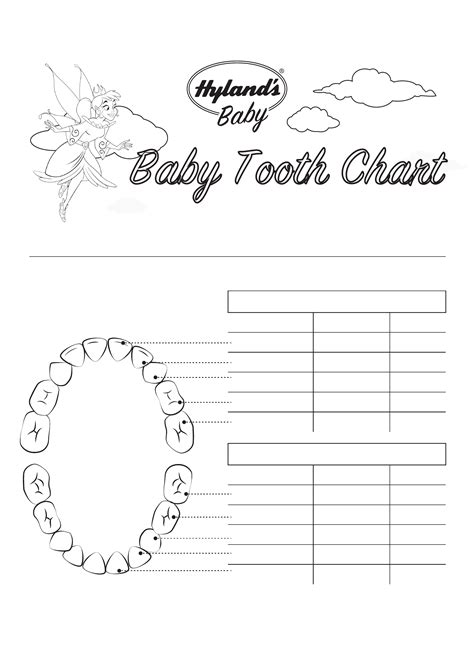 Baby Tooth Chart Template Edit Fill Sign Online Handypdf