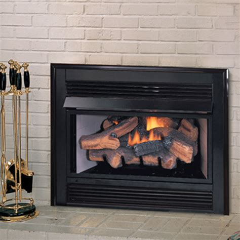 Ventless Gas Fireplace Insert - Bios Pics