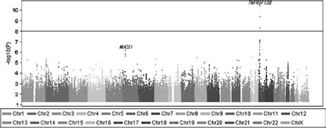 Manhattan Plot Of Genome Wide Association Analysis For Igg Level Download Scientific Diagram