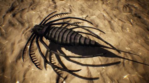 Eurypterid 3D model - TurboSquid 1804704