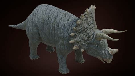 3D Model Triceratops Dinosaur VR AR Low Poly CGTrader