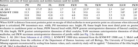 Table From Comparison Of Inverse Dynamics Musculo Skeletal Models Of