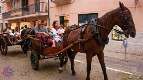 Fiestas Des Vermar Imposici N De Bandas A Los Vermadors Y