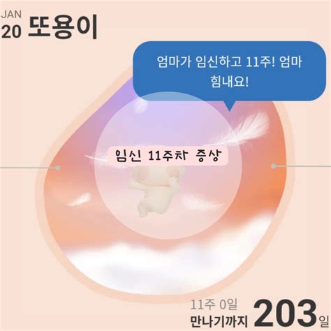 임신11주차증상 임신초기졸음 환도선다 속울렁거림 배통증 토덧 입덧약마미렉틴 네이버 블로그