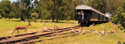 Rovos Rail Zugreise ab Pretoria bis Kapstadt Südafrika Afrika