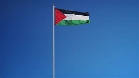 Im Genes De Palestine Flag Descubre Bancos De Fotos Ilustraciones