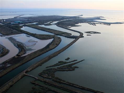 Parco Del Delta Del Po