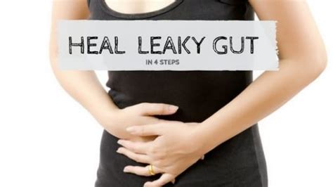 How To Heal Leaky Gut Syndrome Steps Guide