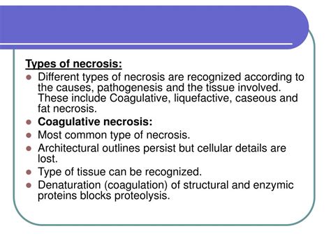 Ppt General Pathology Path 303 Lecture 7 Necrosis Powerpoint