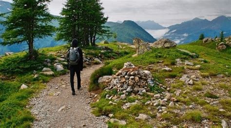 D Nde Conseguir La Credencial Del Camino De Santiago Tour Galicia