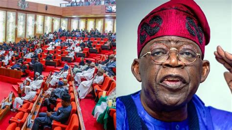 Focus On Tasks Ahead Senate Charges Tinubu