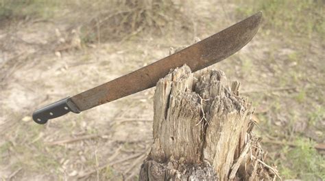 Machete Tronco Naturaleza Foto Gratis En Pixabay Pixabay