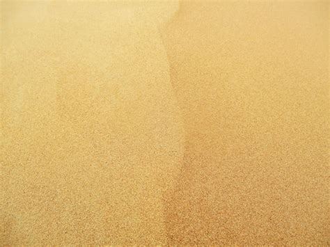 Premium Photo Desert With Warm Colors Sand Dunes