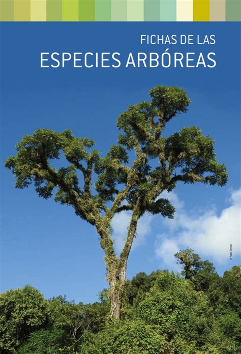 Árboles Nativos de Argentina Tomo 3 Noroeste Native Trees of