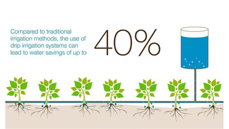 Water Conservation In Sustainable Agriculture