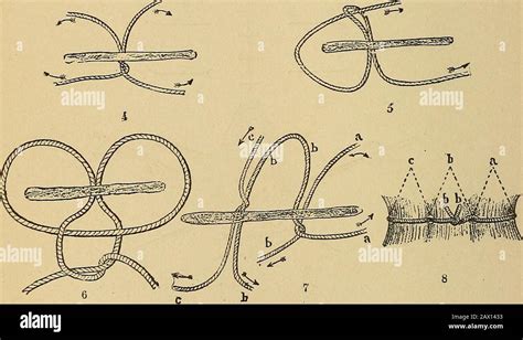 Staffordshire Knot Hi Res Stock Photography And Images Alamy