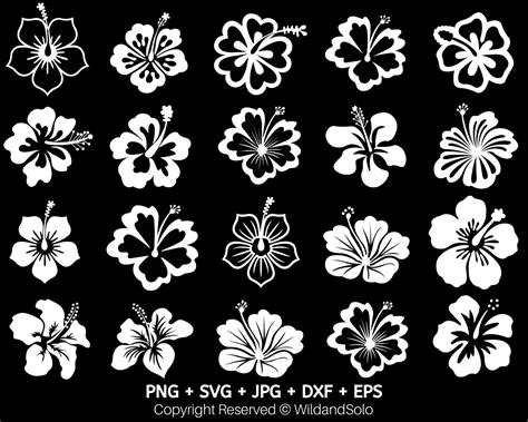 20 Hawaii Hibiscus Flower Svg Bundle Tropical Flower Svg Etsy