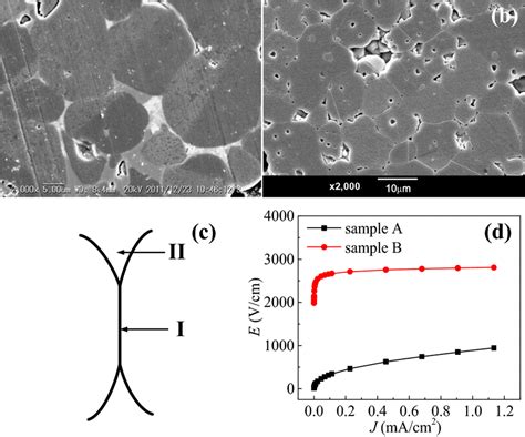 Scanning electron micrographs of the samples, a sample A, b sample B, c ... 