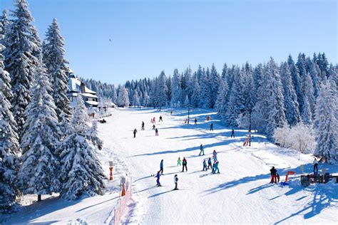 Nature Wonderland At Kopaonik Mountain Serbia Winter Destination