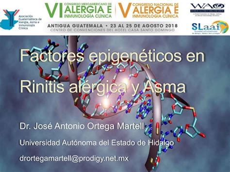 Factores Epigenéticos en rinitis alérgica y asma Prof Dr Ortega