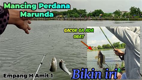 Bikin Iri Umpan Jatuh Langsung Disambar Babon Mancing Perdana Dispot