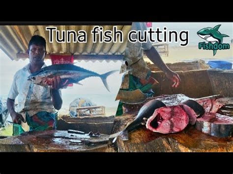 Awesome Big Tuna Fish Cutting Skills In Sri Lanka Expert Fish