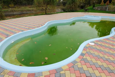 Cloudy, Green, Foamy: What the Water in Your Pool is Telling You & How ...