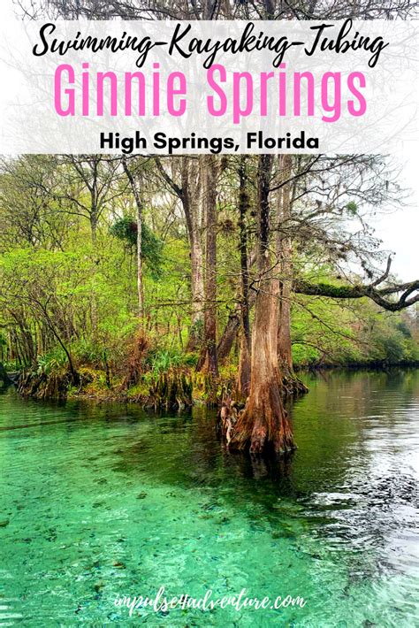 Tubing Ginnie Springs Florida | Ginnie springs florida, Travel fun ...