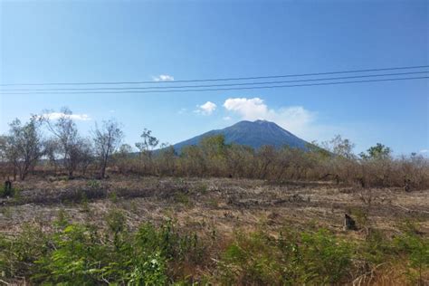 Bpbd Lembata Imbau Masyarakat Waspada Kebakaran Hutan Dan Lahan