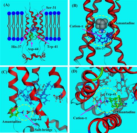 The Structure Of The M Proton Channel Of Influenza A Virus Pdb Code