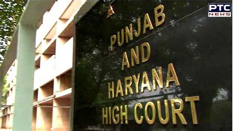 High Court Raps Punjab Govt Over Delay In Holding Mc Elections