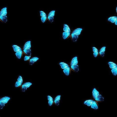 The Best 14 Dark Blue Aesthetic Wallpaper Butterfly - addcompassart