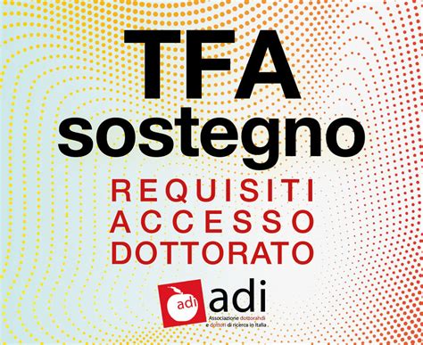 TFA Sostegno Requisiti Prove E Dottorato Di Ricerca