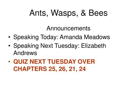 Ppt Ants Wasps And Bees Powerpoint Presentation Free Download Id8165741