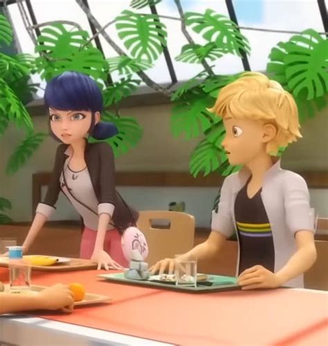 Adrien And Marinette Revelation Miraculous Ladybug Season 5