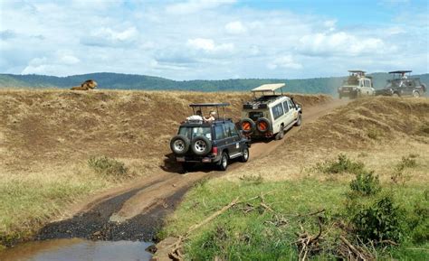 Como O Clima Para Fazer Turismo Em Ngorongoro Na Tanz Nia Viagem